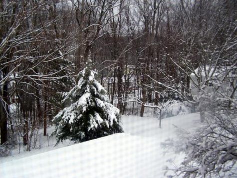 Enough with the Snow Days