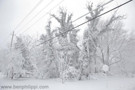 Delay, Early Dismissal, or No School? How to Decide?