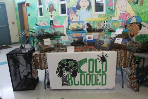 Cold Blooded Creatures: A Reptile Show