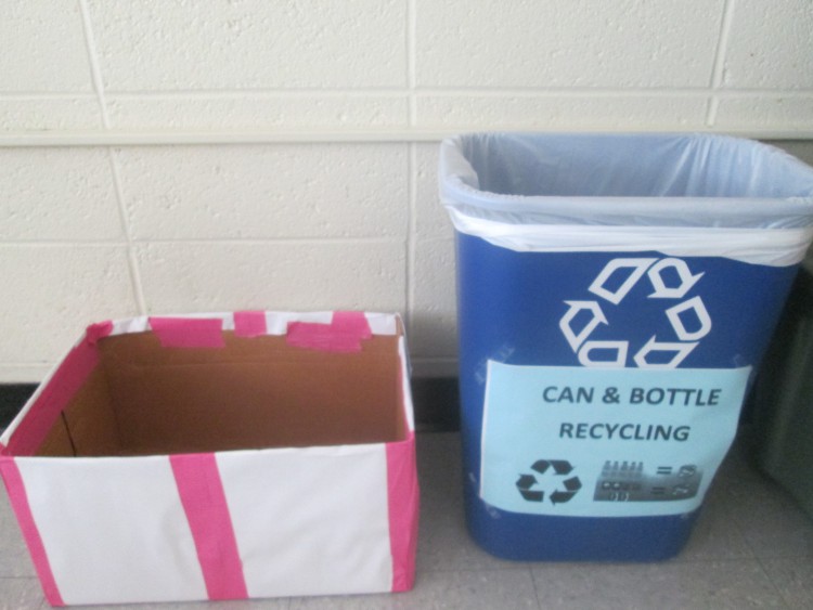 Recycling Bins