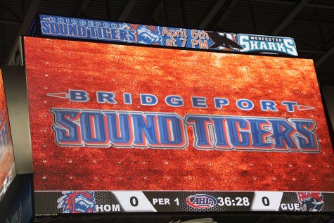 Sound Tigers Adventure!