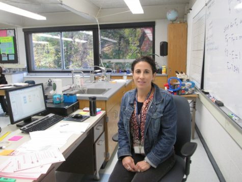 Mrs. Cohen: The New Intern