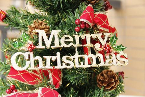What Are Your Plans for Christmas?