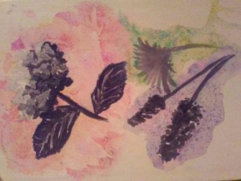 Ever Wondered: Why some Flowers Bloom at Night?