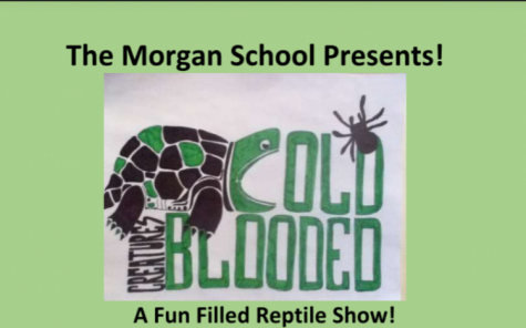Cold Blooded Creatures Coming June 4th