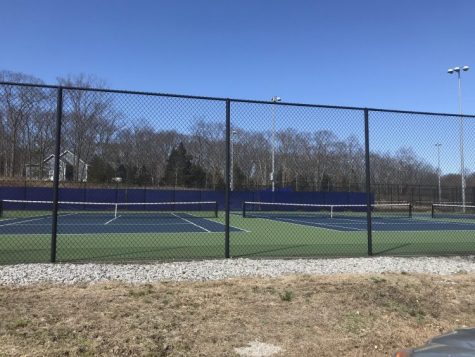 Spring Sports on Hold