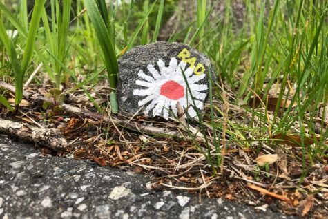 Rock Painting With Maddie and Rachael