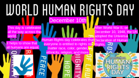 Leah's Human Rights Day Poster 