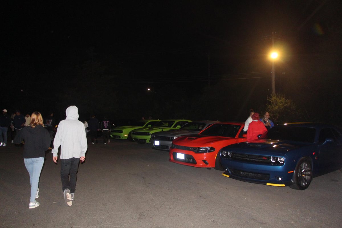 A Group of Dodge SRTs