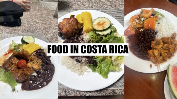 Food In Costa Rica