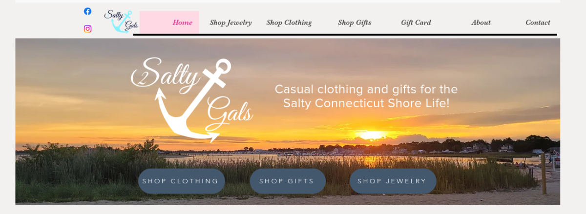 2 Salty Gals website page