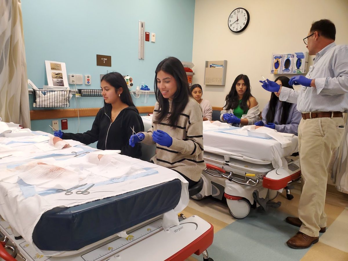 Students stitching pigs foot