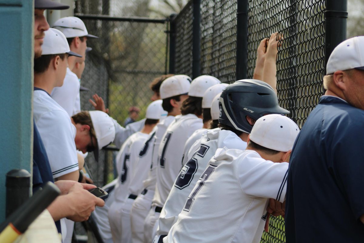 Baseball team watching and supporting their teammates