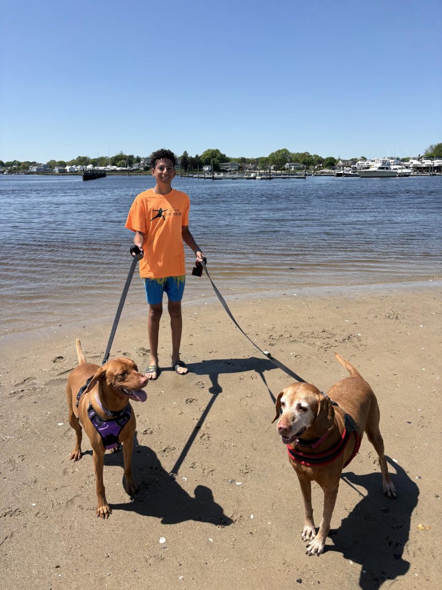 Mekai Howard walking his two dogs 