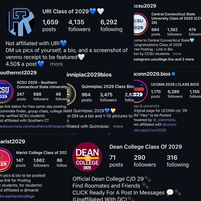 collage of 2029 Instagram pages 