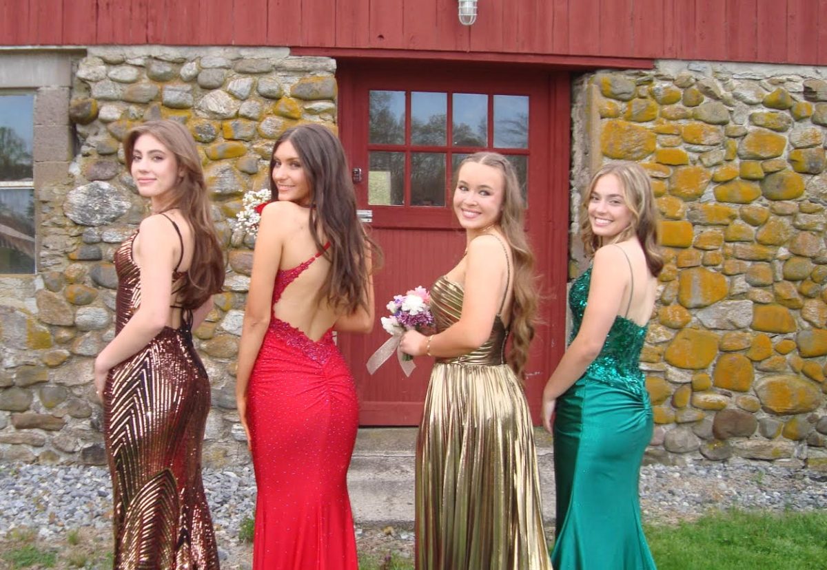 Pictured from left to right is Ava Ruotolo, Alyssa Ruthstrom, Laura Orn, and Olivia Ruotolo posing in their junior prom dresses.