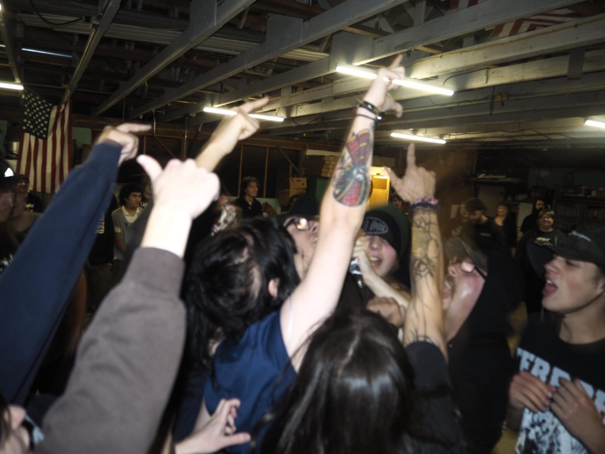 Photo of the crowd singing with the band during a concert. Photo credits: Gabriela Hernandez