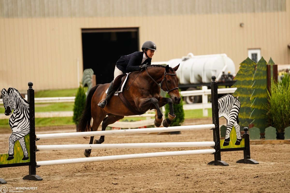 Ava Nettleton jumping with a horse