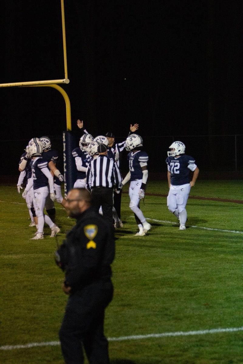 Football team during the game