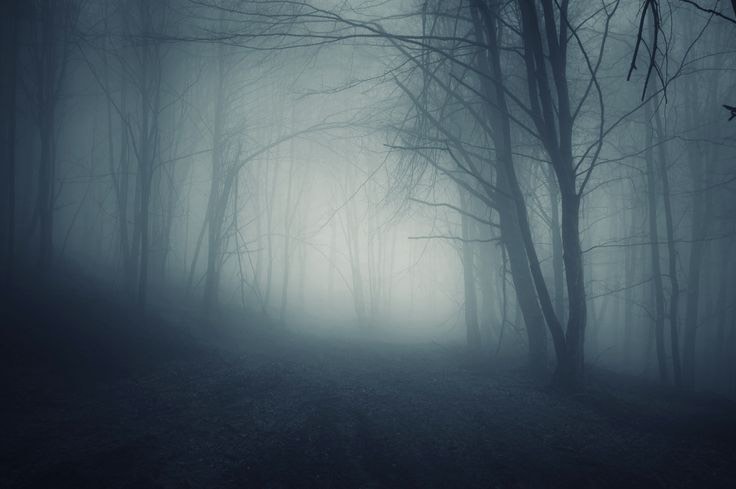 Horror Movies